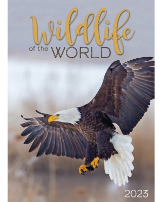 Wildlife Of The World